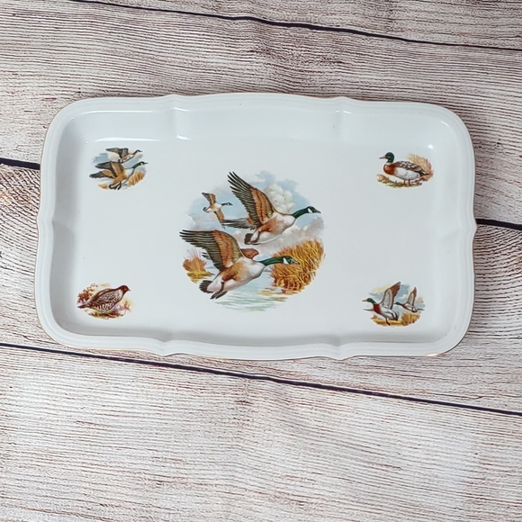 Naaman Israel Game Birds Of the World Platter Tray - Picture 1 of 6